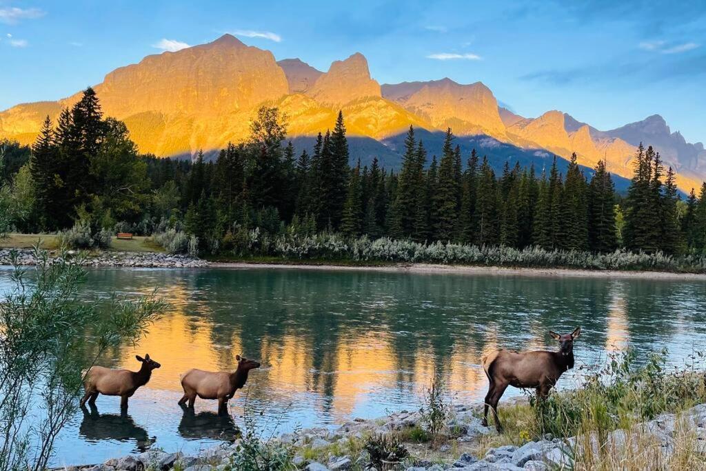 Unit #301 Mountain View 1Br In Canmore Down Town Exterior foto